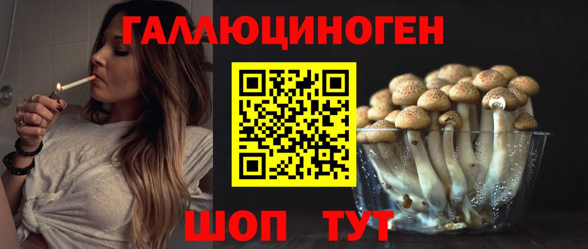 Унеча  Галлюциногенные грибы мицелий  Вход с VPN 